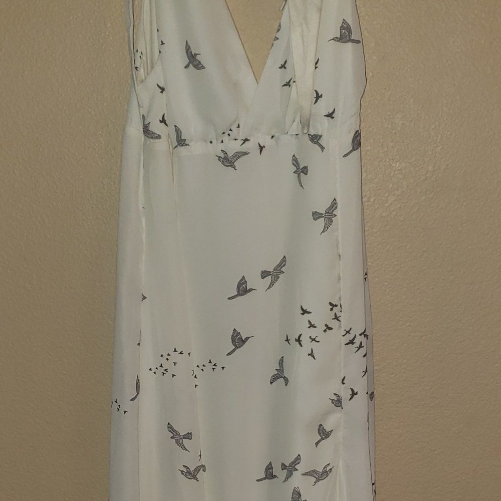 Flock of Birds Long Dress